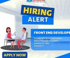 Front End Developer Job At Techexpert Solutions - 1