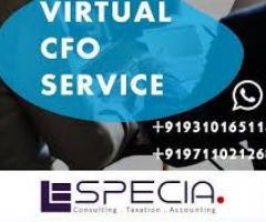 Best Virtual CFO Services in India| Especia Associates