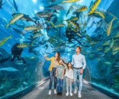 Dubai Aquarium – Dubai Mall Aquarium and Underwater Zoo Tickets - 1