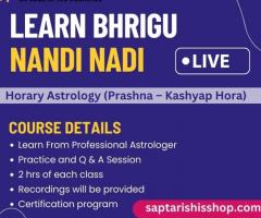 Learn Bhrigu Nandi Nadi in Hindi with Horary Astrology (Prashna – Kashyap Hora)