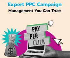 Raise Sales with PPC Management services| Detral LLC