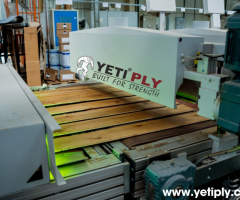 Exploring the Top Plywood Manufacturers Shaping India's Construction Industry