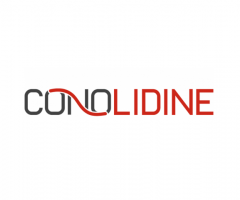 Discover Conolidine: The Natural Pain Relief Plants