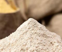 The Essence of Rajasthan: Superior Soapstone Powder Manufacturers