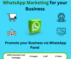 Marketing with the Best WhatsApp Service Provider in India - 1