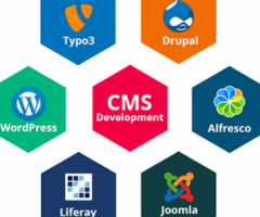 CMS Website Development Company - 1