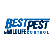 Best Pest & Wildlife Control