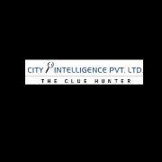 City Intelligence