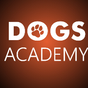 Dogs Academy