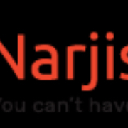 Narjis Infotech