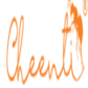 Cheenti Digital LLC