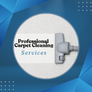 Professional Carpet Cleaning Service