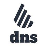 dns accountants