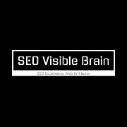 SEO Visible Brain