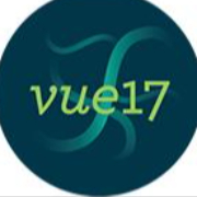 VUE17