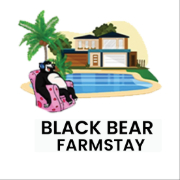 Black Bear Farm House