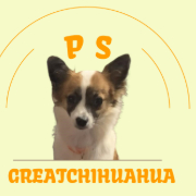 Ps great chihuahua