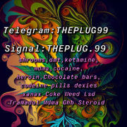 Telegram_THEPLUGG99