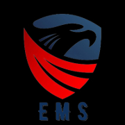 EMS Visa Consultant