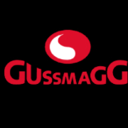 Gussmagg GmbH