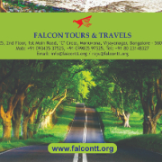 Falcon Tours and Travels