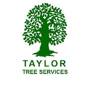 taylortreeservices